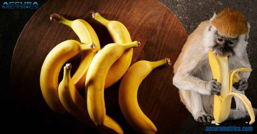 A medium-sized 7 inch banana