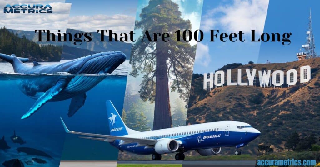 Featured image of 100-foot-long objects like blue whale, Boeing 737-500, redwood tree, and Hollywood sign