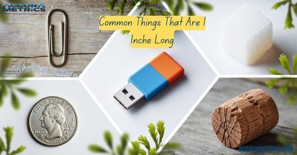 Divided image showcasing a paperclip, USB drive, sugar cube, US quarter, and wine cork on a wooden background.