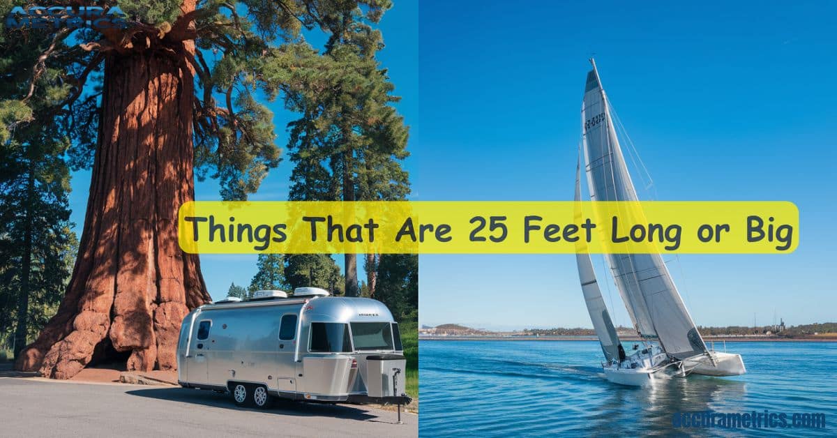 Outdoor scene with a sequoia tree (25 ft wide), Airstream trailer, and sailboat against a blue sky.