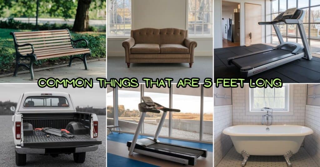 Common Things That Are 5 Feet Long