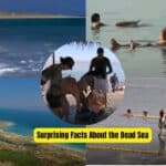 Surprising facts about the Dead Sea, its unique features, and environmental challenges.