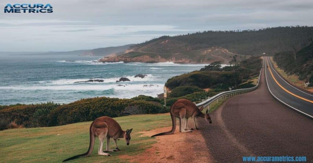 In the article the longest roads in a single country, circling Australia over 14,500 miles.