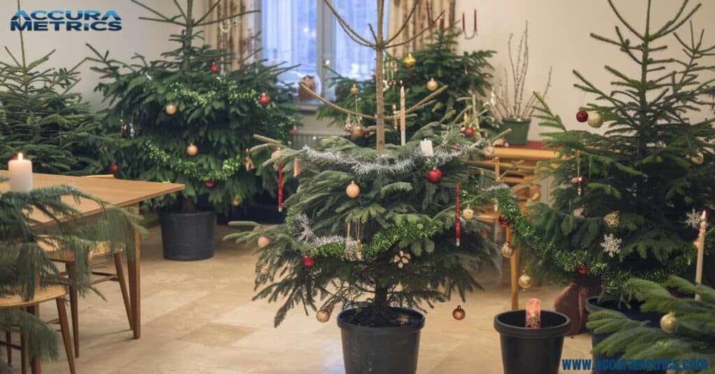 Potted live tree decorated for Christmas near a window.